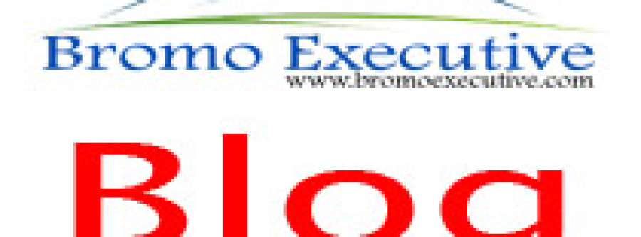 Bromo Executive Blog